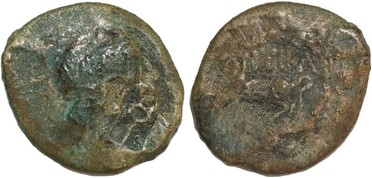 ������: 250-4484