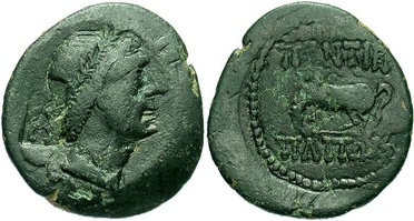 ������: 250-4484