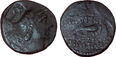 ������: 250-4484