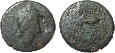 ������: 250-4484