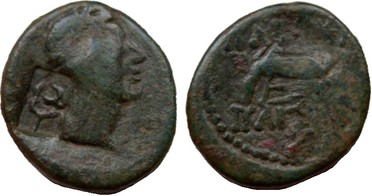 ������: 250-4484