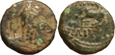 ������: 250-4484