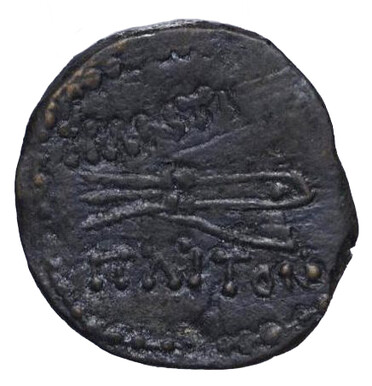 ������: 251-5134