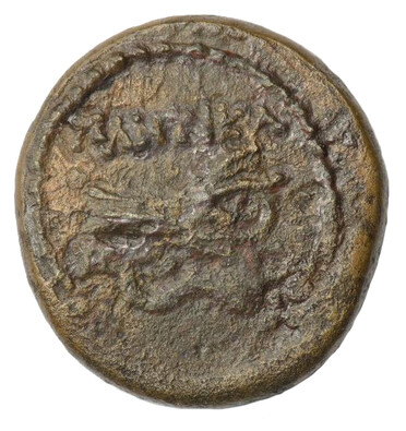 ������: 251-5134