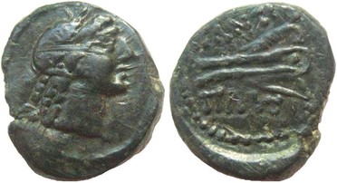 : 251-5134