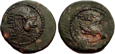 ������: 251-5134