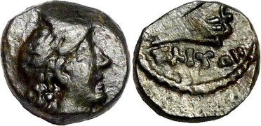 ������: 251-5134