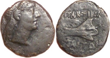 : 251-5134