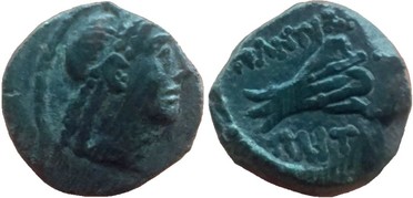 : 251-5134