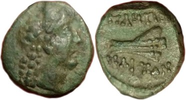 : 251-5134