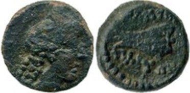 : 251-5134