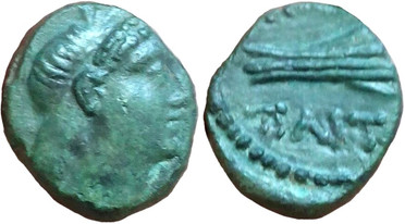 ������: 251-5134