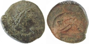 ������: 251-5134