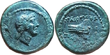 ������: 251-5134