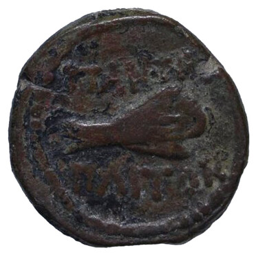 ������: 251-5134