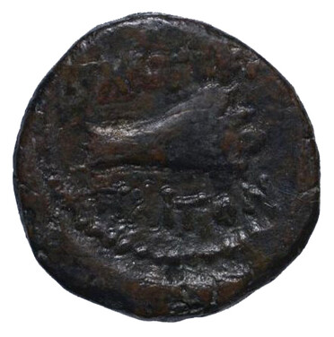 ������: 251-5134