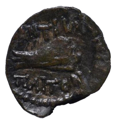 ������: 251-5134