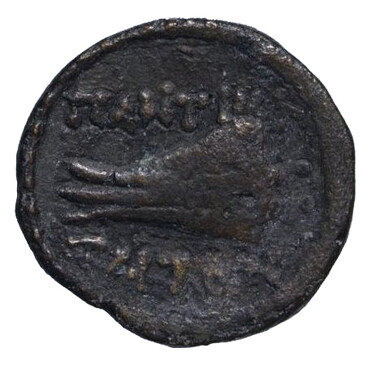 ������: 251-5134