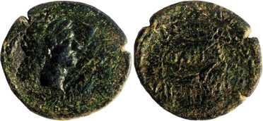 ������: 252-4007