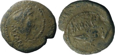 ������: 252-4007