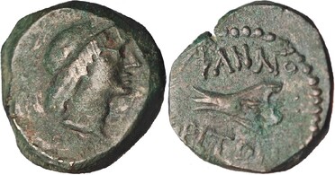 ������: 252-4007