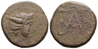 ������: 256-4010