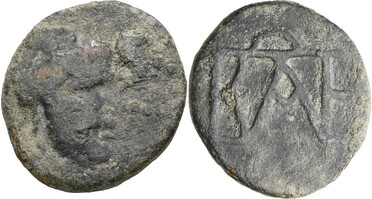 ������: 256-4010