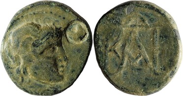 ������: 256-4010