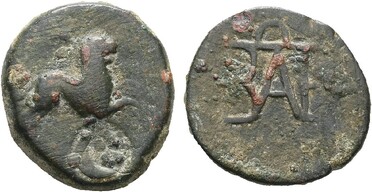 ������: 257-4011