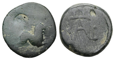 ������: 257-4011