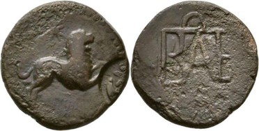 ������: 257-4011