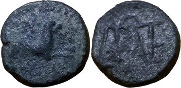 ������: 257-4011