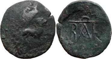 ������: 257-4011