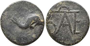 ������: 258-4016