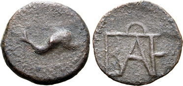 ������: 258-4016