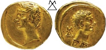 ������: 264-4990