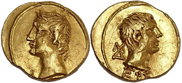 ������: 264-4990