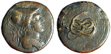 ������: 271-4009