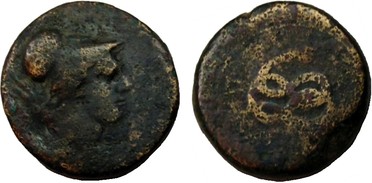 ������: 271-4009