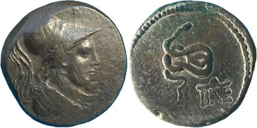 ������: 271-5125