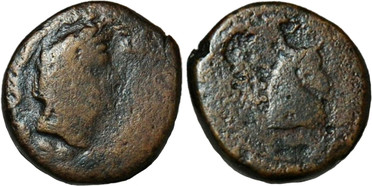 ������: 272-4012