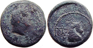 ������: 272-4012