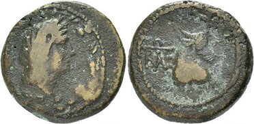 ������: 272-4012