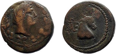 ������: 272-4012