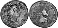 ������: 272-4012