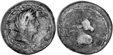 ������: 272-4012