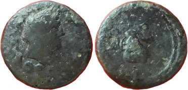 ������: 272-4012