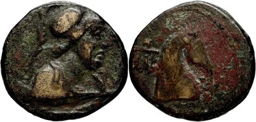 ������: 273-4019