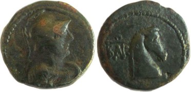 ������: 273-4019