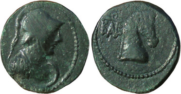 ������: 273-4019